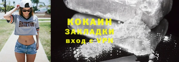 крисы Абаза