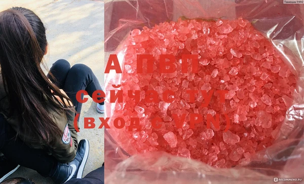крисы Абдулино