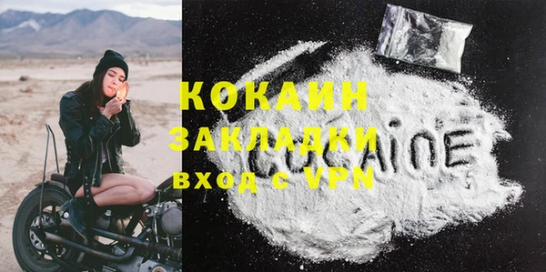 крисы Абаза