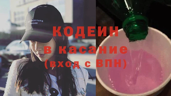 крисы Абаза