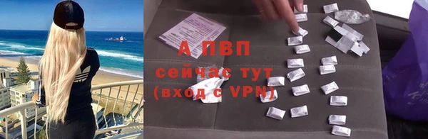 крисы Абаза