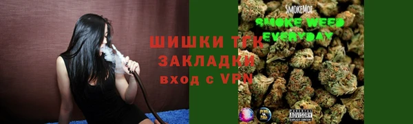 крисы Абаза
