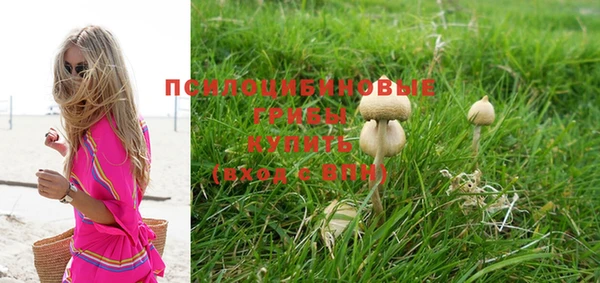крисы Абаза