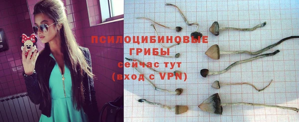 ПСИЛОЦИБИНОВЫЕ ГРИБЫ Алексин