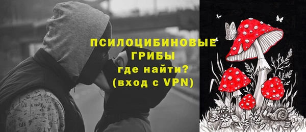 ПСИЛОЦИБИНОВЫЕ ГРИБЫ Алексин