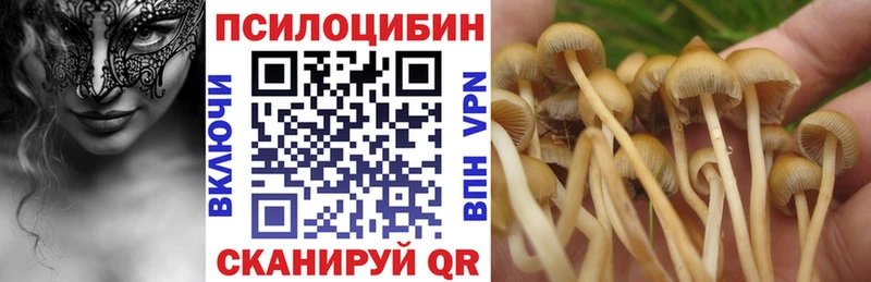 Псилоцибиновые грибы Cubensis  KRAKEN маркетплейс  Лосино-Петровский 