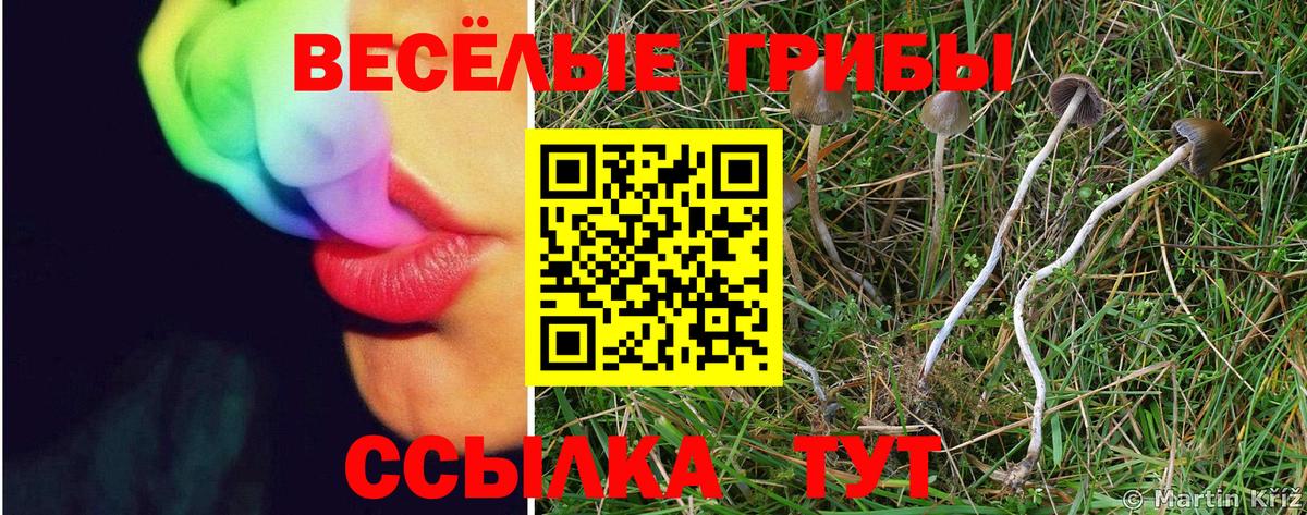 Лосино-Петровский  Псилоцибиновые грибы Psilocybine cubensis  Галлюциногенные грибы GOLDEN TEACHER  Вход с VPN 